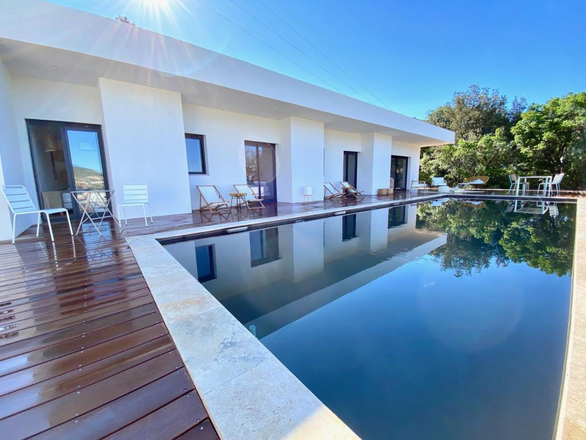 Villas De Standing Avec Magnifique Vue Mer Et Piscines Privees, Sagone Sagone  Kültér fotó